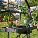Etagère en aluminium laqué noir 15x141cm pour serre de jardin Juliana