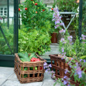 Serre de jardin 5m² verte en polycarbonate 4mm Popular Halls