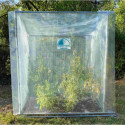 Abri potager pour tomates - Serres Tonneau
