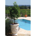 Vase d'Anduze terre cuite D.66xH.80cm Cérusé naturel Terre Figuière