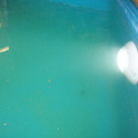 Spot halogène 100W pour piscine - kit complet - Ubbink