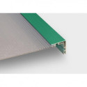 Serre de jardin 9,13m² anthracite en polycarbonate + embase Green Protect