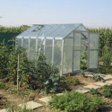 Serre de jardin 249x306cm 7,62m² en polycarbonate 8mm VARIANT - Limes