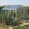 Serre de jardin 249x306cm 7,62m² en verre cathédrale 4mm VARIANT, Limes