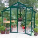 Serre de jardin verte 249x505cm 12,57m² en verre cathédrale 4mm VARIANT - Limes
