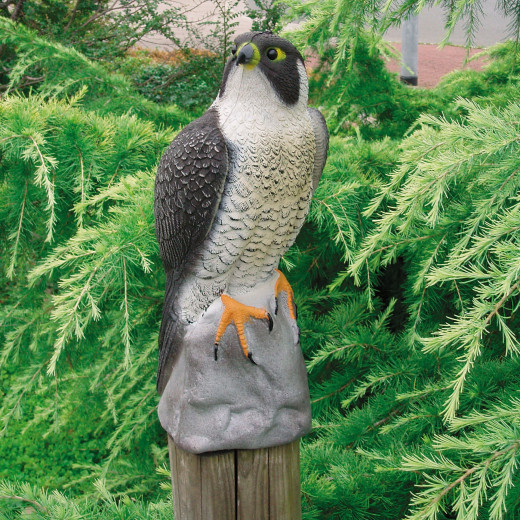 Faucon décoratif H.40cm pour bassins de jardin Ubbink