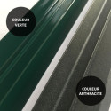 Serre de jardin 15,03m² anthracite PC 4mm + embase Green Protect