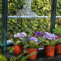 Kit d'irrigation goutte à goutte pour serre de jardin Palram