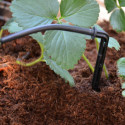 Kit d'irrigation goutte à goutte pour serre de jardin Palram