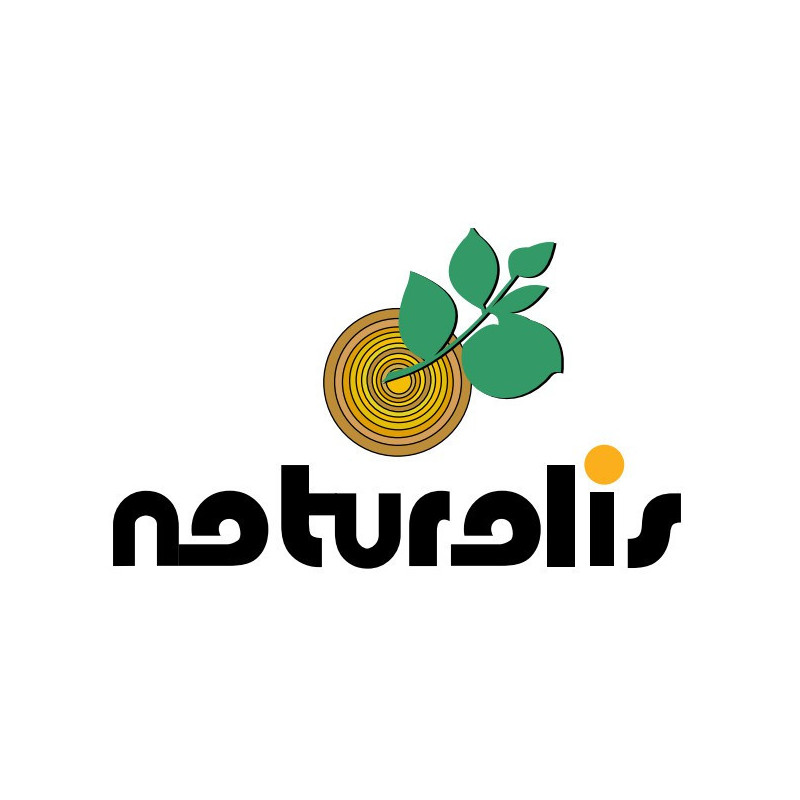 Prestation de montage à domicile par des professionnels piscine Naturalis 1 décagonale