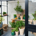 Serre Veranda aluminium anthracite et verre trempé 6,6m² Juliana	