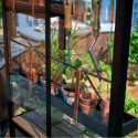 Serre urbaine en verre trempé avec roulettes City Greenhouse - Juliana