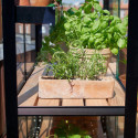 Serre urbaine en verre trempé avec roulettes City Greenhouse - Juliana