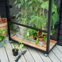 Serre urbaine en verre trempé avec roulettes City Greenhouse - Juliana