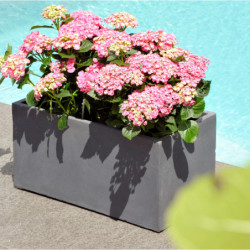 Jardinière en fibre de terre 60x30xH.30cm gris ciment