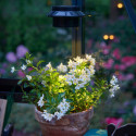 Lampe LED solaire pour serres - Juliana