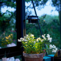 Lampe LED solaire pour serres - Juliana