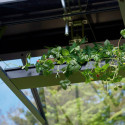 Jardinière faîtière en aluminium pour cultures en hauteur – Juliana