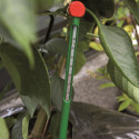 Thermomètre de sol pour serre Juliana