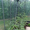 Lot de 3 Tuteurs spirales pour plantes grimpantes - Juliana