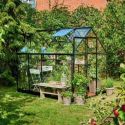 Serre de jardin 5,1m² noire en verre trempé Qube - Halls