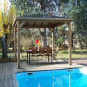 Pool house en bois thermo traité 12,32m² BLUETERM - HABRITA