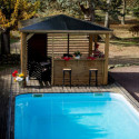 Pool house en bois thermo traité 12,31m² BLUETERM, 2 parois avec ventelles et 2 parois avec comptoirs - HABRITA