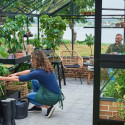 Serre de jardin sur muret 13m² anthracite en verre trempé Premium - Juliana