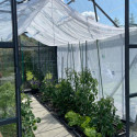 Serre Laurus Uranus 9,85m² en aluminium laqué gris et verre trempé 3mm + embase incluse - Natura Lams