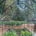 Green Protect Serre de jardin en verre Aluminium et verre trempé Gris 14.52m²