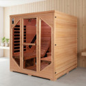 SNÖ Sauna infrarouge Bois massif Bois naturel