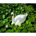 Cygne décoratif H.46cm pour bassins de jardin - Ubbink