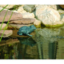 Gargouille grenouille pour bassin de jardin - Ubbink