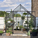 Serre de jardin 6,6m² noire en verre trempé Qube - Halls