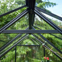 Serre de jardin 6,6m² noire en verre trempé Qube - Halls