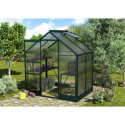 Serre de jardin en alu vert et polycarbonate 6mm - Apollo 2500 - Vitavia