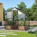Serre de jardin en alu noir et verre 3mm - Venus 3800 - Vitavia