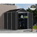 Abri de jardin RUBICON 4,2m² en aluminium et polycarbonate - Palram