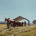 Abri pour animaux 49,6m² démontable en acier et polyéthylène vert – Shelter Logic