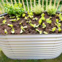 Potager surélevé en tôles ondulées d’acier galvanisé 160x80x82cm Westmann