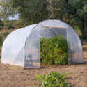 Serre tunnel de culture pieds droits 12m² - 3x4m - 200 microns RICHEL