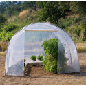 Serre tunnel de culture pieds droits 12m² - 3x4m - 200 microns RICHEL