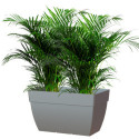 Jardinière Capri XL – H.45x100x45cm – Anthracite