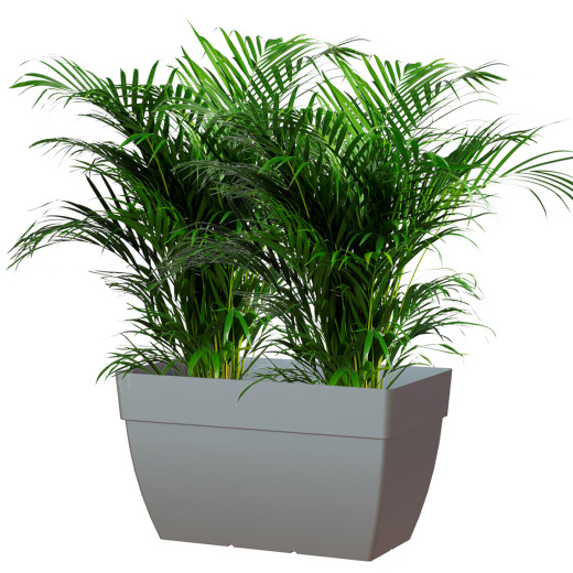 Jardinière Capri XL – H.45x100x45cm – Anthracite