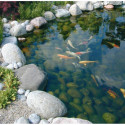 Pompe de bassin SMARTMAX 7500Fi - 7000L/h - Ubbink