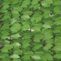 Haie artificielle feuilles de lierre 1,5x3m - Jet7garden