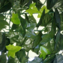 Haie artificielle duo de feuilles de lierre 1x3m - Jet7garden