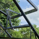 Serre de jardin 6,2m² en aluminium noir et verre trempé Popular - Halls