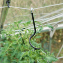 Serre de jardin 6,2m² en aluminium noir et verre trempé Popular - Halls