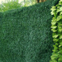 Haie végétale artificielle LUX 243 brins 1,5x3m - Jet7garden